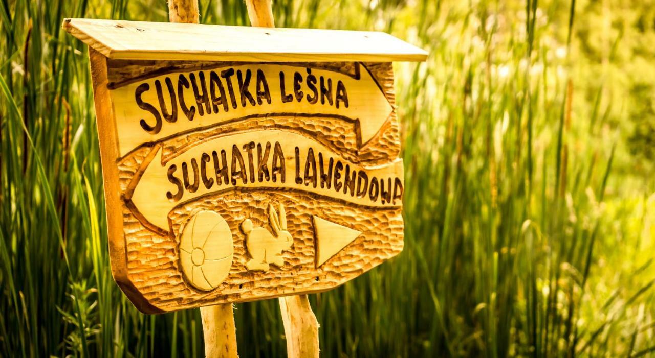 Вилла Sucholand Miedziana Gora Экстерьер фото