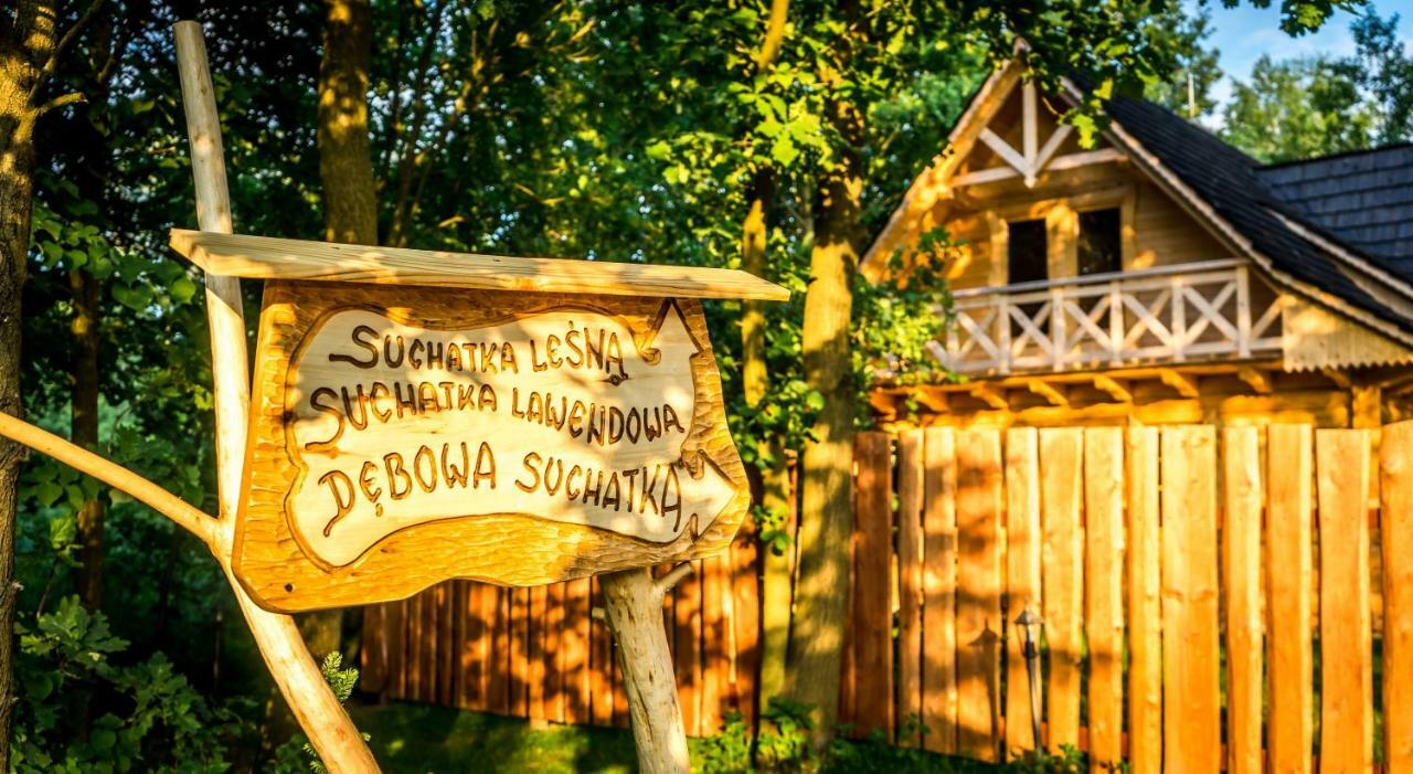 Вилла Sucholand Miedziana Gora Экстерьер фото